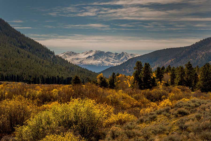 mountain view from cabin